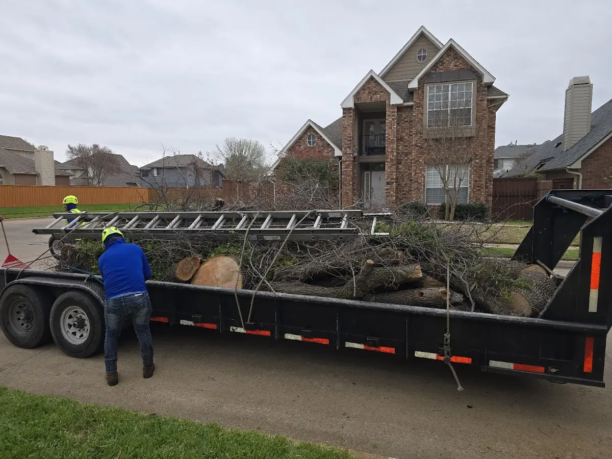 Expert Tree Removal with proper safety equipment in Berry Creek